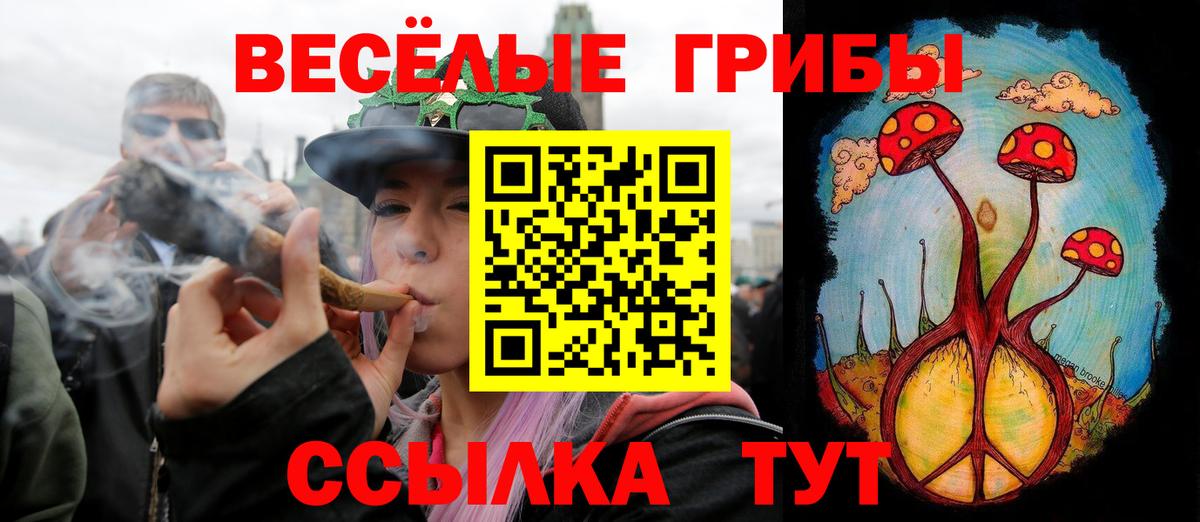 Красноармейск  Псилоцибиновые грибы Magic Shrooms  Вход с VPN 